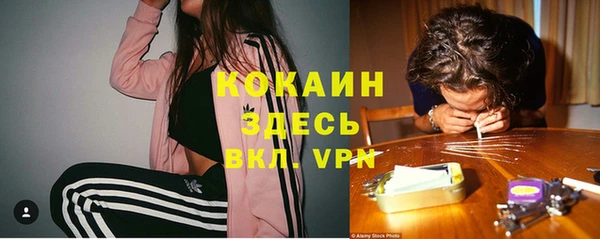 тгк Беломорск