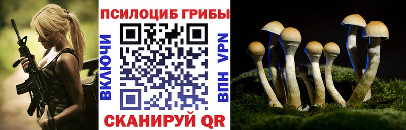 где можно купить   kraken ONION  Псилоцибиновые грибы мухоморы  Бузулук 